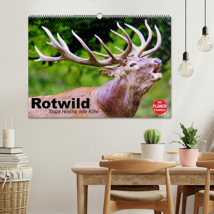 Produktbild: Rotwild. Edle Hirsche, stolze K&uuml;he (Wandkalender 2026 DIN A2 quer), CALVENDO Monatskalender