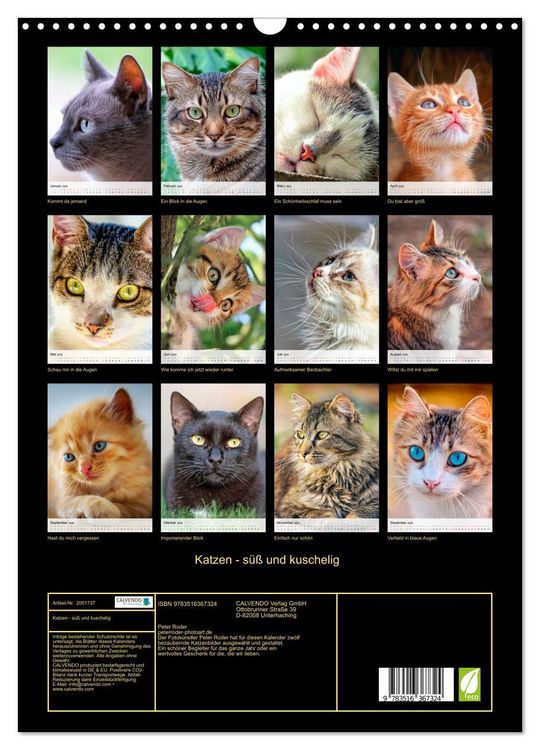 Produktbild: Katzen - s&uuml;&szlig; und kuschelig (Wandkalender 2026 DIN A3 hoch), CALVENDO Monatskalender