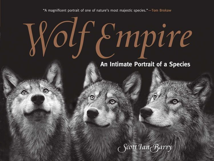 Produktbild: Wolf Empire