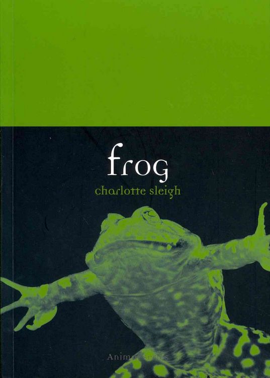 Produktbild: Frog