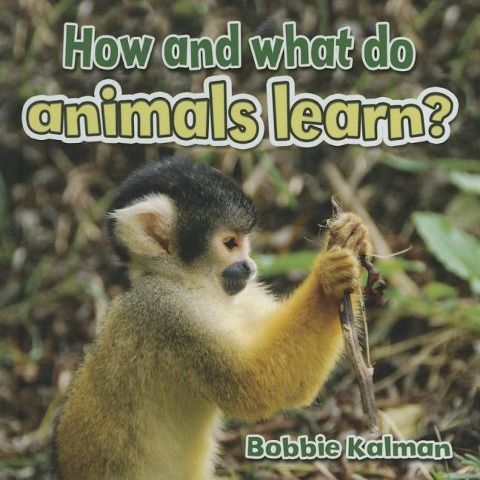 Produktbild: How and What Do Animals Learn?
