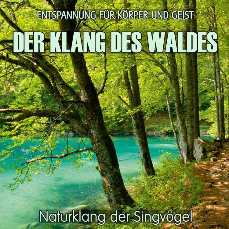 Produktbild: Der Klang des Waldes - Naturklang der Singv&ouml;gel (ohne Musik)