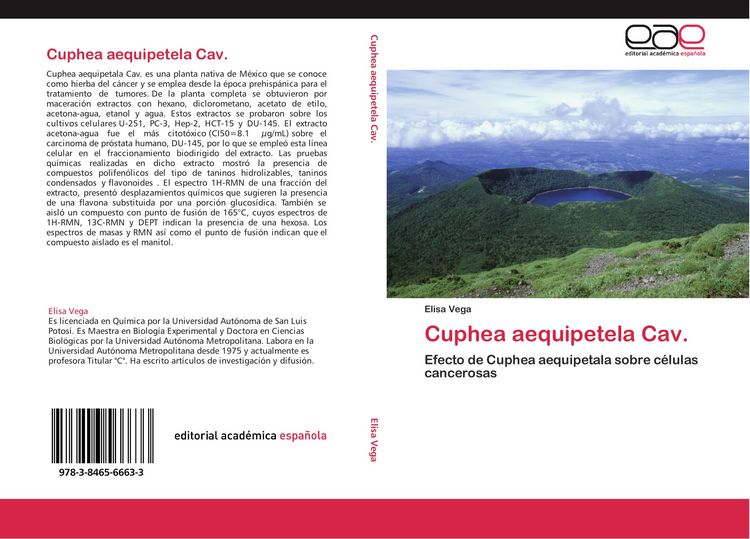 Produktbild: Cuphea aequipetela Cav.