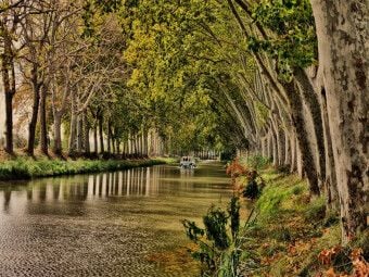 Produktbild: CALVENDO Puzzle Kanal du Midi bei B&eacute;ziers | 1000 Teile Lege-Gr&ouml;&szlig;e 64x48cm Foto-Puzzle f&uuml;r gl&uuml;ckliche Stunden