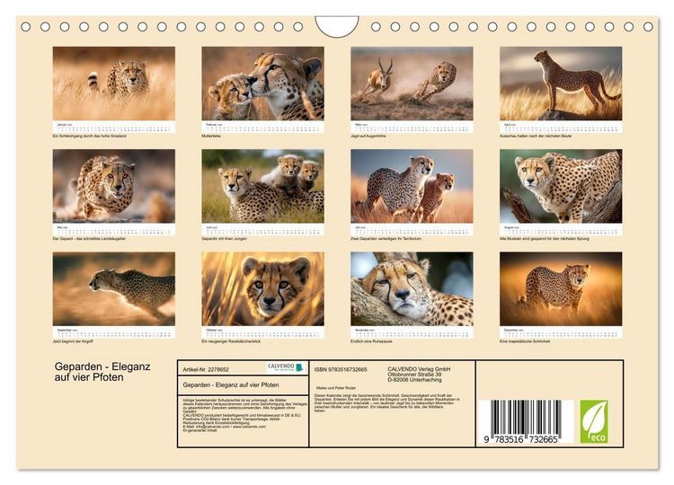Produktbild: Geparden - Eleganz auf vier Pfoten (Wandkalender 2026 DIN A4 quer), CALVENDO Monatskalender