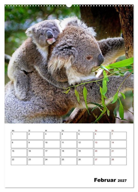 Produktbild: Australiens faszinierende Tierwelt (hochwertiger Premium Wandkalender 2027 DIN A2 hoch), Kunstdruck in Hochglanz