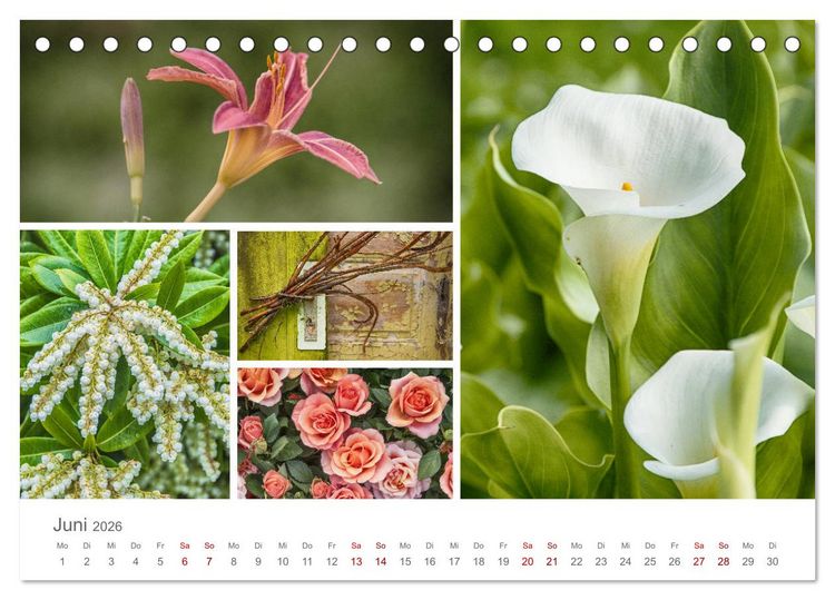 Produktbild: Ein Garten, der zum Verweilen einl&auml;dt (Tischkalender 2026 DIN A5 quer), CALVENDO Monatskalender