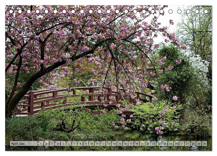 Produktbild: Leverkusen Hitdorf Wiesdorf Opladen (Tischkalender 2026 DIN A5 quer), CALVENDO Monatskalender