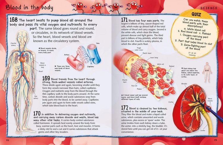 Produktbild: Fantastic Facts