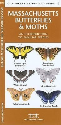 Produktbild: Massachusetts Butterflies & Mo