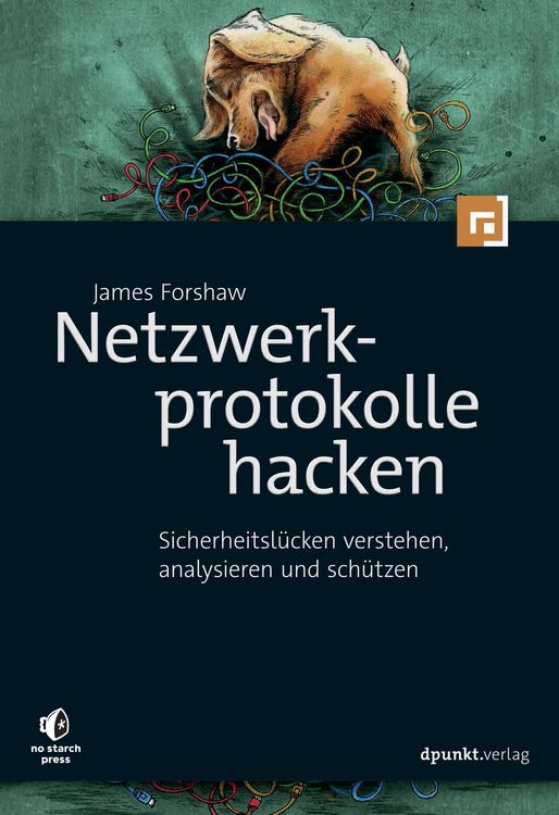 Produktbild: Netzwerkprotokolle hacken
