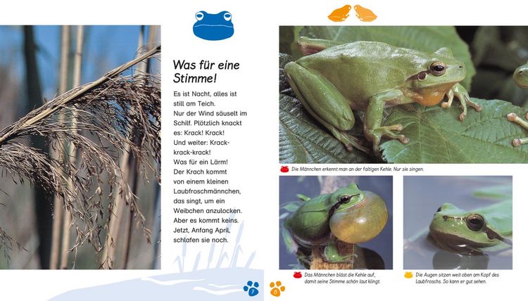 Produktbild: Meine gro&szlig;e Tierbibliothek: Der Frosch
