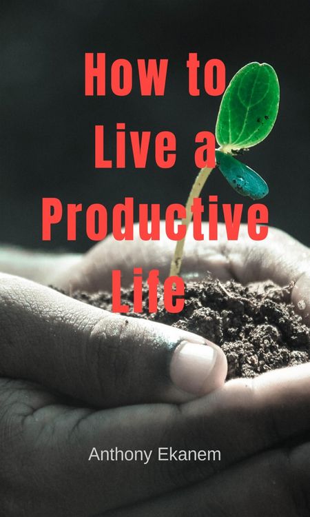 Produktbild: The Organized Life