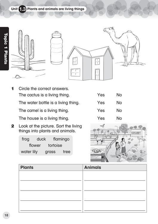 Produktbild: Collins International Primary Science