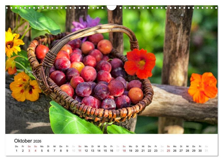 Produktbild: Mein Jahr im Landhausgarten (Wandkalender 2026 DIN A3 quer), CALVENDO Monatskalender