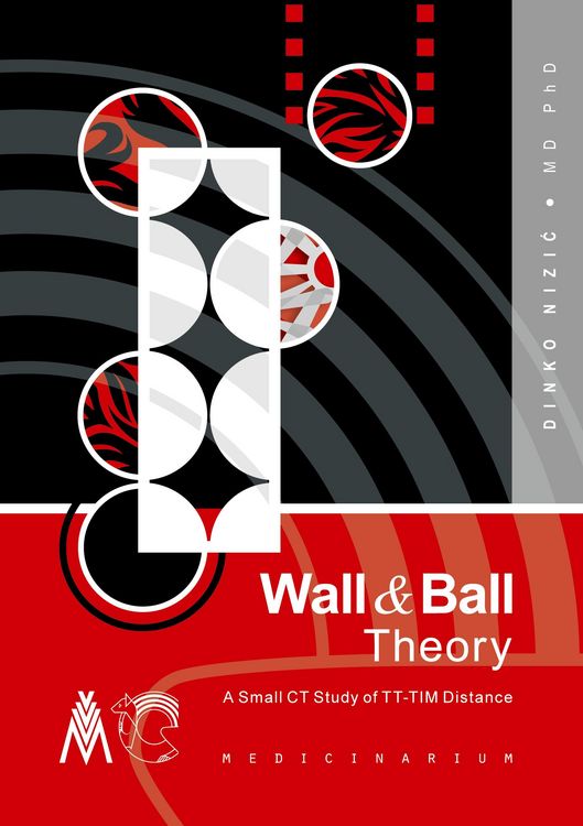 Produktbild: Wall & Ball Theory
