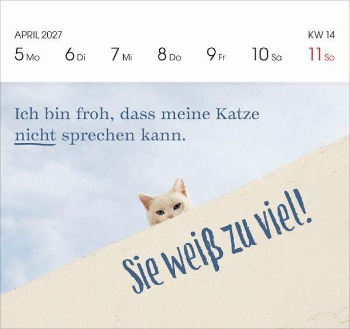 Produktbild: Katzen 2027