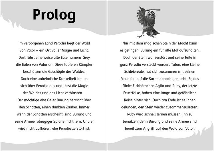 Produktbild: Der letzte Feuerfalke und die dunkle Magie (Band 6)