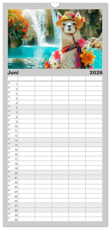 Produktbild: Familienplaner 2026 - Lamas auf Tour. Perus flauschige Fashion-Ikonen mit 5 Spalten (Wandkalender, 21 x 45 cm) CALVENDO