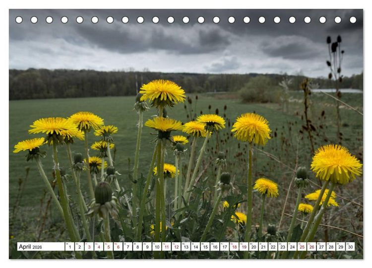 Produktbild: F&uuml;rstenfeldbruck - Streifzug durch Natur und Stadt (Tischkalender 2026 DIN A5 quer), CALVENDO Monatskalender