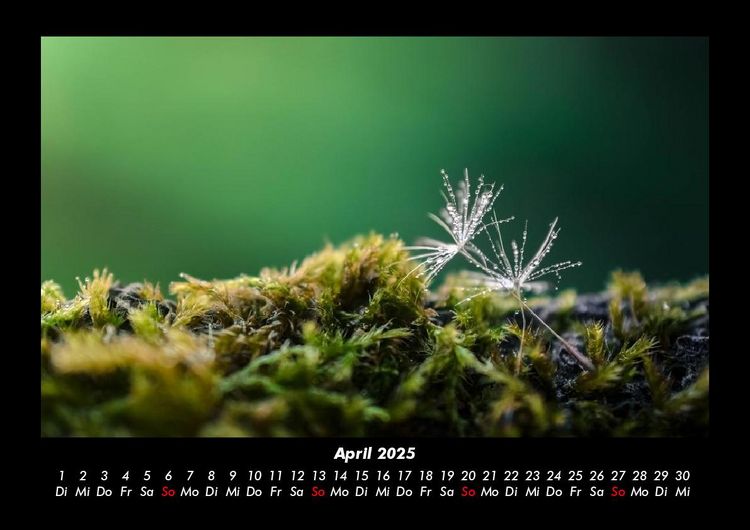 Produktbild: Bilder aus der Natur 2025 Fotokalender DIN A3