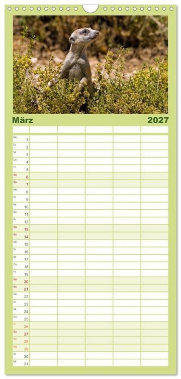 Produktbild: Familienplaner 2027 - Afrikas Tierwelt - Erdm&auml;nnchen mit 5 Spalten (Wandkalender, 21 x 45 cm) CALVENDO