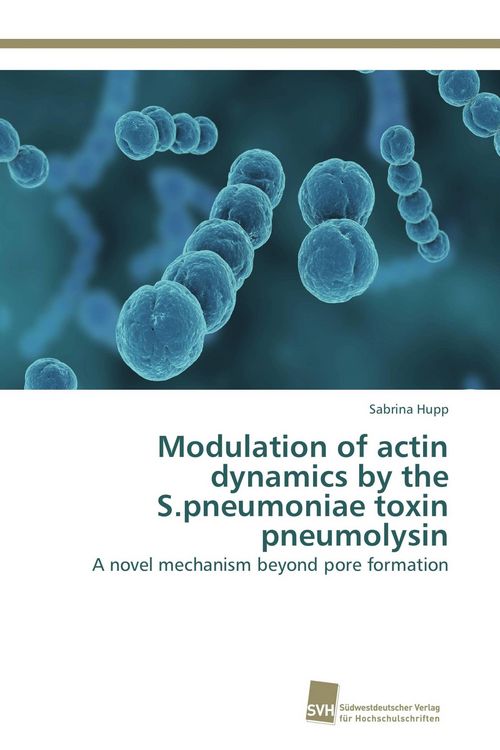 Produktbild: Modulation of actin dynamics by the S.pneumoniae toxin pneumolysin