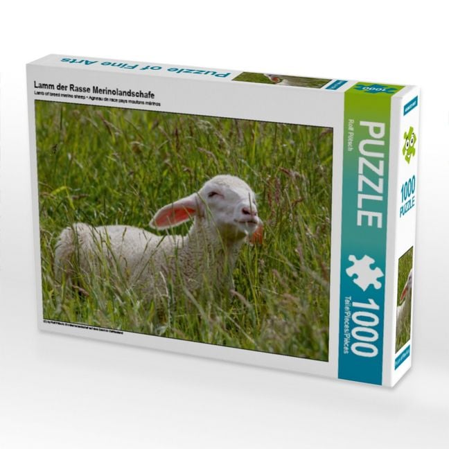 Produktbild: CALVENDO Puzzle Lamm der Rasse Merinolandschafe | 1000 Teile Lege-Gr&ouml;&szlig;e 64x48cm Foto-Puzzle f&uuml;r gl&uuml;ckliche Stunden