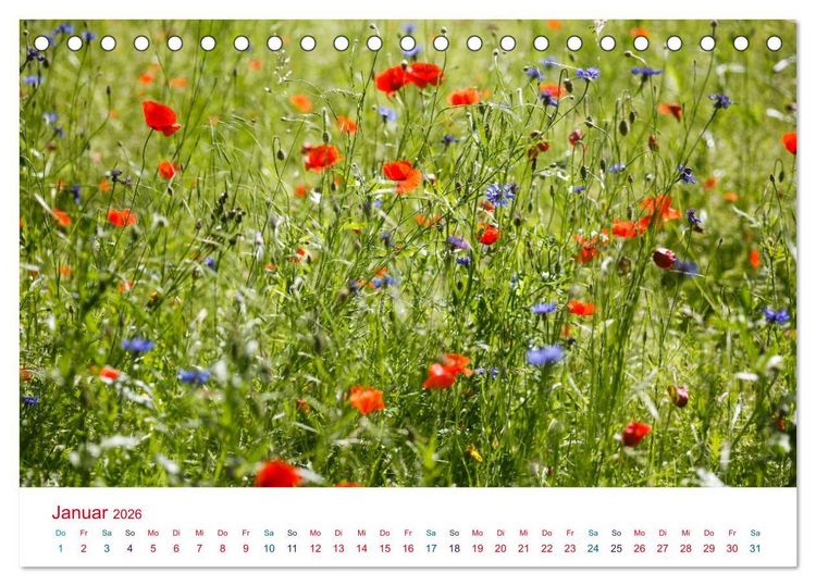 Produktbild: Mohnblumen (Tischkalender 2026 DIN A5 quer), CALVENDO Monatskalender