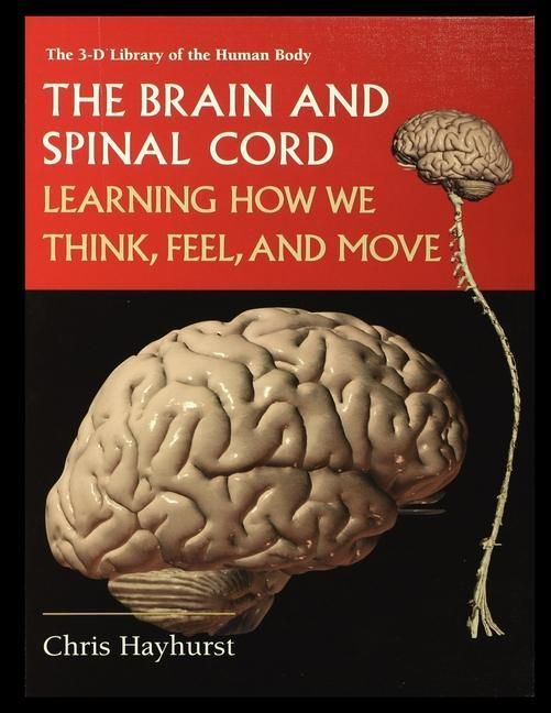 Produktbild: The Brain and Spinal Cord: Learning How We Think, Feel and Move