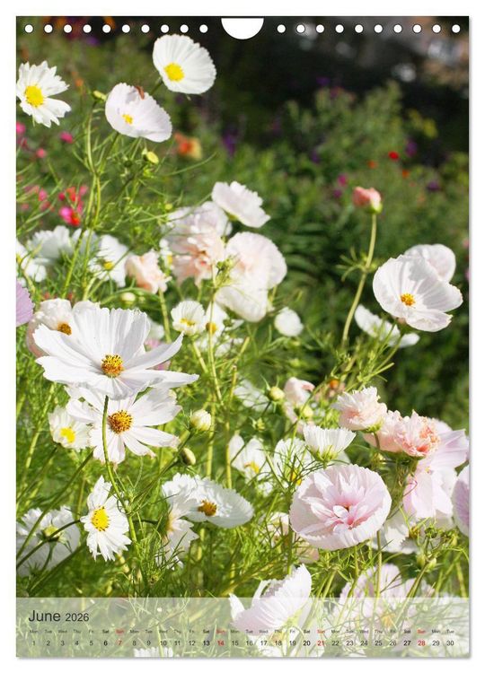Produktbild: Garden Bliss (Wall Calendar 2026 DIN A4 portrait), CALVENDO 12 Month Wall Calendar