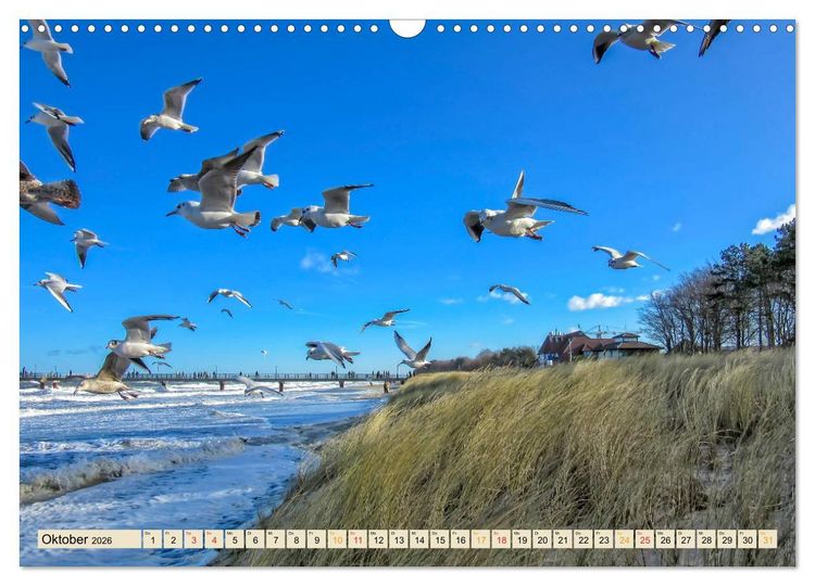 Produktbild: Reise durch Deutschland - Mecklenburg-Vorpommern (Wandkalender 2026 DIN A3 quer), CALVENDO Monatskalender