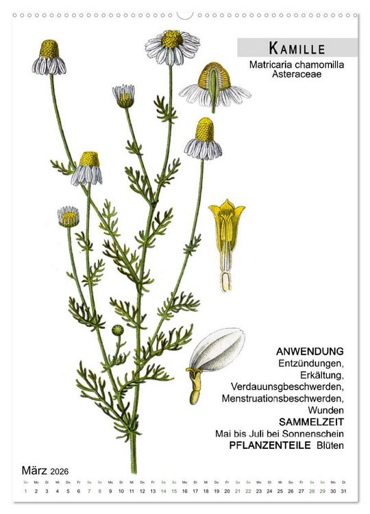 Produktbild: Heilpflanzen (hochwertiger Premium Wandkalender 2026 DIN A2 hoch), Kunstdruck in Hochglanz