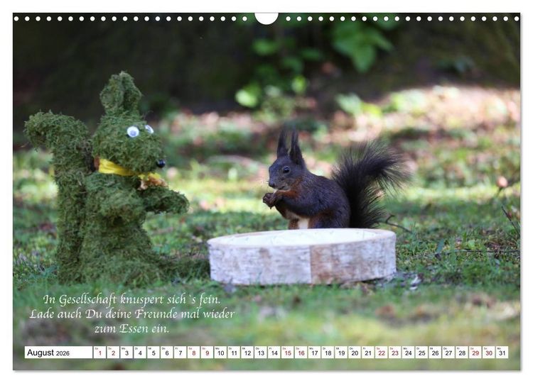 Produktbild: Tipps von Eichh&ouml;rnchen an Eichh&ouml;rnchenliebhaber (Wandkalender 2026 DIN A3 quer), CALVENDO Monatskalender
