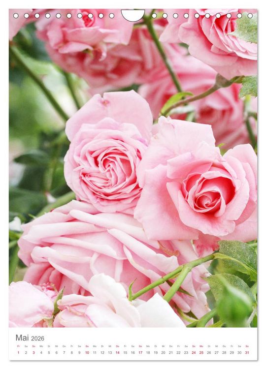 Produktbild: Gl&uuml;cklich mit Rosen (Wandkalender 2026 DIN A4 hoch), CALVENDO Monatskalender