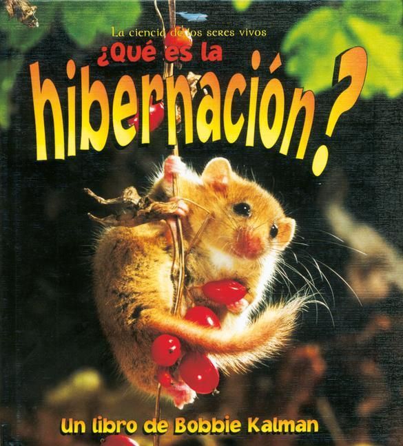 Produktbild: &iquest;Qu&eacute; Es La Hibernaci&oacute;n? (What Is Hibernation?)