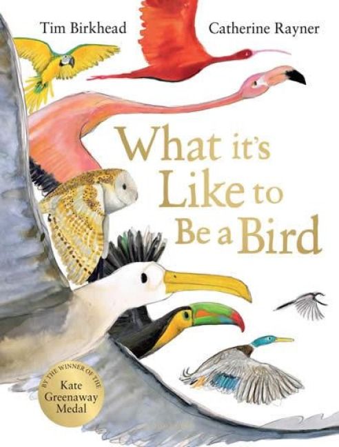 Produktbild: What it's Like to be a Bird