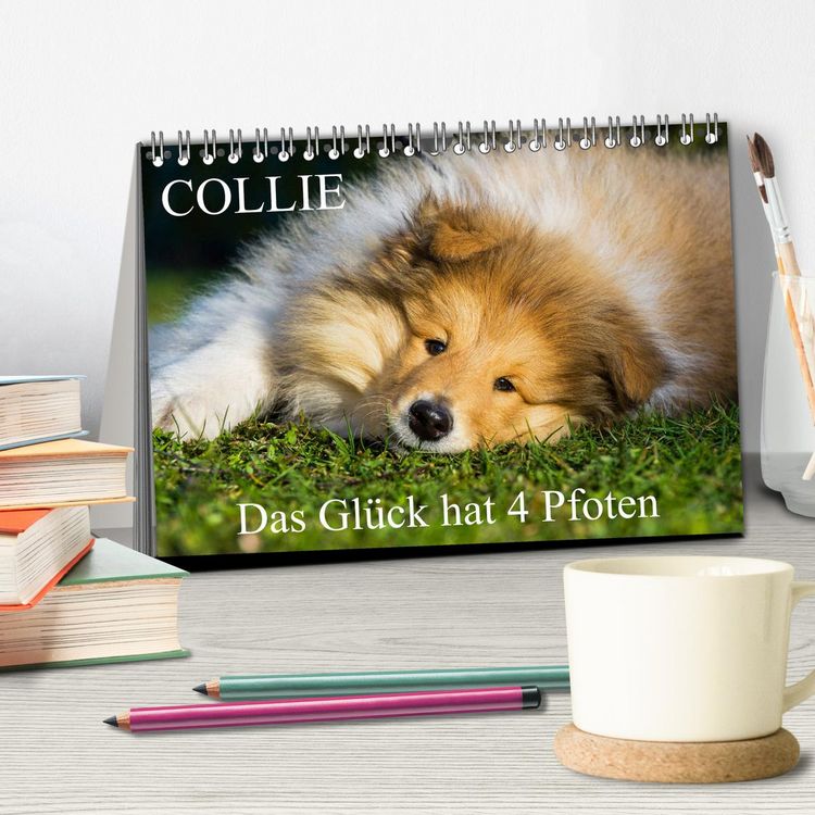 Produktbild: Collie - Das Gl&uuml;ck hat 4 Pfoten (Tischkalender 2026 DIN A5 quer), CALVENDO Monatskalender