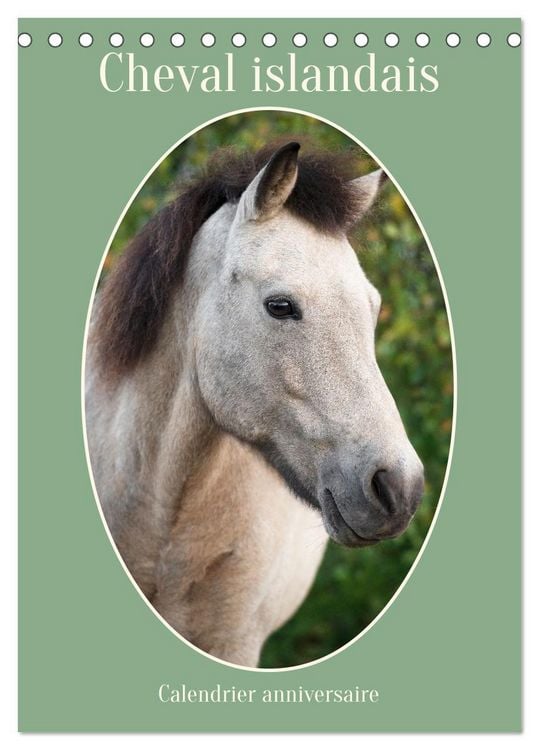 Produktbild: Cheval islandais - Calendrier anniversaire (Calendrier de bureau 2026 DIN A5 horizontal), CALVENDO calendrier mensuel