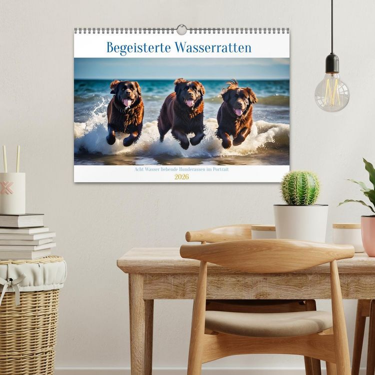 Produktbild: Begeisterte Wasserratten (Wandkalender 2026 DIN A3 quer), CALVENDO Monatskalender