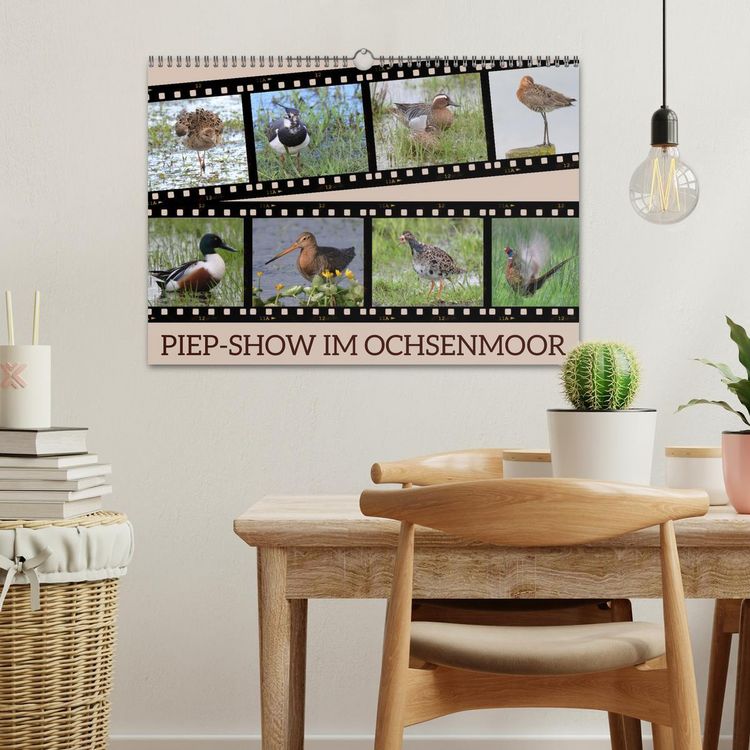 Produktbild: PIEP-SHOW im Ochsenmoor (Wandkalender 2026 DIN A3 quer), CALVENDO Monatskalender