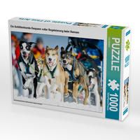 Produktbild: CALVENDO Puzzle Ein Schlittenhunde-Gespann voller Begeisterung beim Rennen | 1000 Teile Lege-Gr&ouml;&szlig;e 64x48cm Foto-Puzzle f&uuml;r gl&uuml;ckliche Stunden