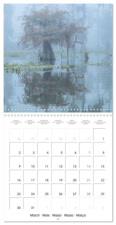 Produktbild: Mississippi Delta, Magic Swamps (Wall Calendar 2026 12 &times; 12 Inch) CALVENDO 12 Month Wall Calendar