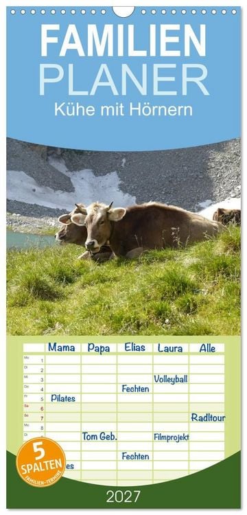 Produktbild: Familienplaner 2027 - K&uuml;he mit H&ouml;rnern mit 5 Spalten (Wandkalender, 21 x 45 cm) CALVENDO