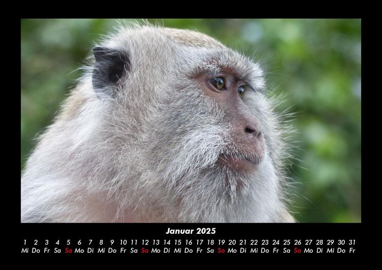 Produktbild: Bali 2025 Fotokalender DIN A3