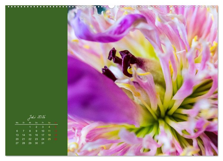 Produktbild: Bl&uuml;tenstil (Wandkalender 2026 DIN A2 quer), CALVENDO Monatskalender