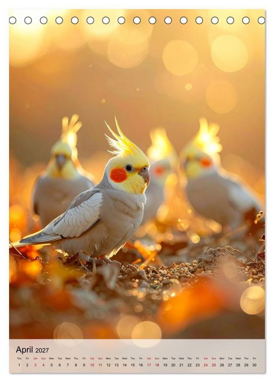 Produktbild: Cockatiel Dreams (Desk Calendar 2027 DIN A5 portrait), CALVENDO 12 Month DeskCalendar