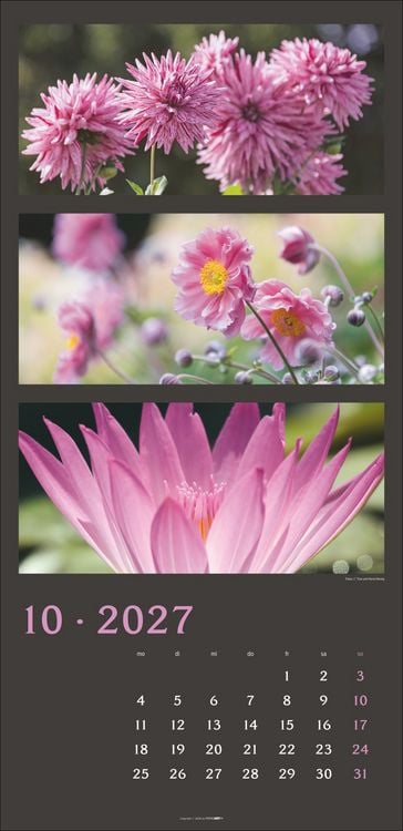 Produktbild: Die Farben der Natur Kalender 2027