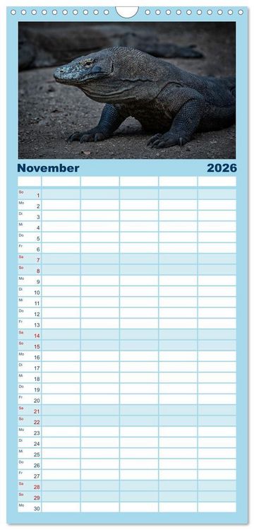 Produktbild: Familienplaner 2026 - Drachen: Geheimnisvolles Tierreich mit 5 Spalten (Wandkalender, 21 x 45 cm) CALVENDO