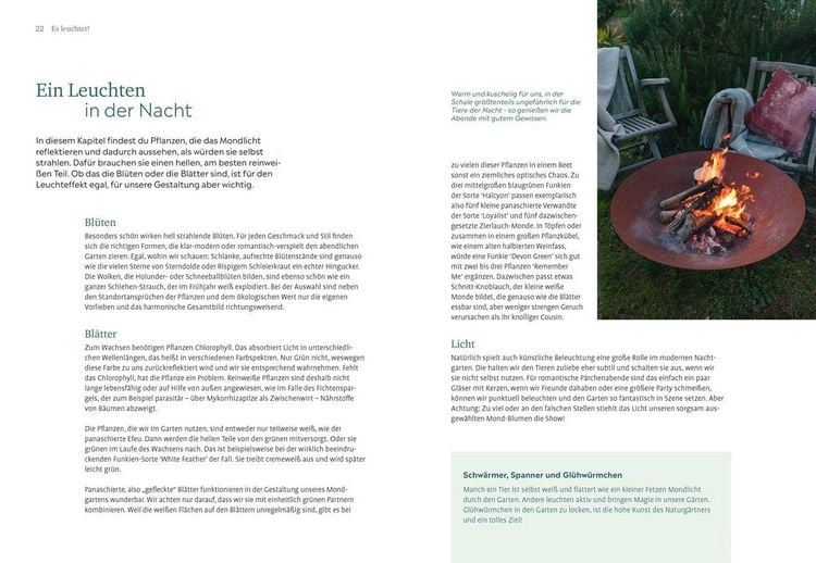 Produktbild: Der Nachtgarten